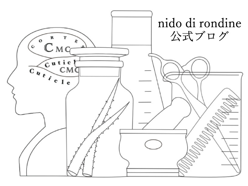blog-top.jpg